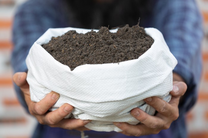 selling-plant-online-close-up-picture-hand-holding-sack-soil-1
